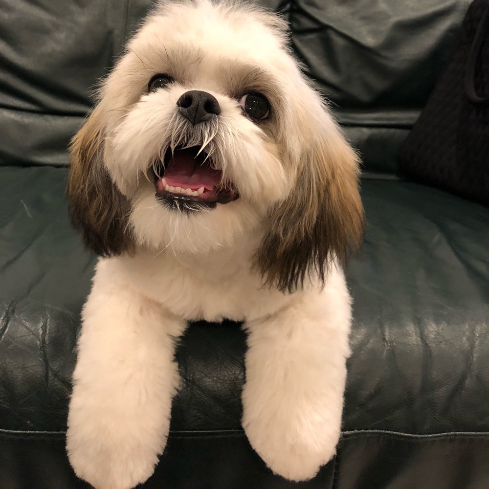 Meet your Posher, Barbara